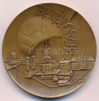 1968. "Városunkért 1718-1968 / Békéscsaba" Br emlékérem tokban (50mm) T:1-