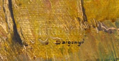 Szigonyi jelzéssel: Táj. Olaj, vászon, kartonra ragasztva, enyhén sérült, 26x37 cm