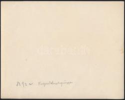 cca 1916 Torpedórombolók a kotori? kikötőben 24x18 cm