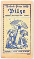 cca 1900 Pilze - gombák, tájékoztató kihajtható színes melléklettel