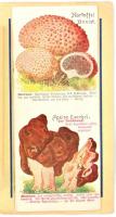 cca 1900 Pilze - gombák, tájékoztató kihajtható színes melléklettel