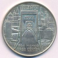 Csúcs Viktória (1934-) 1973. "Pest-Buda-Óbuda egyesítésének centenáriuma / Pro memor urbe cente...