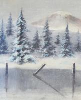 Szepesi Kuszka Jenő (1885-1948): Tátrai téli táj. Olaj, vászon, jelzett, sérült üvegezett blondel ke...