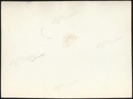 cca 1937 Kinszki Imre (1901-1945) budapesti fotóművész hagyatékából, jelzés nélküli vintage fotó (Lá...