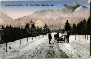 Tátralomnic, Tatranská Lomnica (Magas Tátra, Vysoké Tatry); út részlet, lovasszán. / road in winter, horse sleigh (EM)