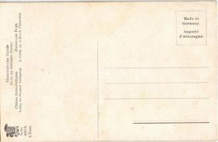 Humoristische Hunde. Collie als Holländer Fischer / A Collie dog in as a Dutch fisherman. Serie 2047...