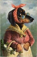 Humoristische Hunde. Dackel als Rettigweib / A Dachshund dog as a marketwoman. Serie 2047/4. 6. Dess. s: Schröpler (r)