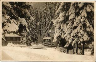 Körmöcbánya, Kremnitz, Kremnica; Zechenterov-dom / kunyhók, nyaralók télen / villas, huts in winter. Ivanovich photo