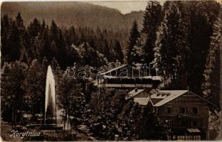 Koritnyica, Korytnica; Szökőkút, Schweiz nyaraló. Komor Testvérek kiadása / fountain, villa (gyűrődés / crease)