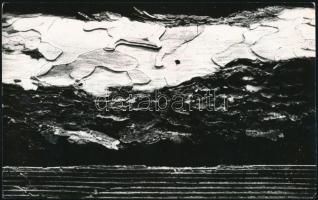 cca 1978 Sipeki Gyula esztergomi fotóművész feliratozott vintage fotóművészeti alkotása (Részlet egy ajtóból), 15x24 cm