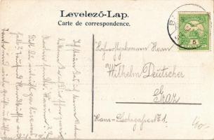 1910 Bazin, Bösing, Bözing, Pezinok; Vas fürdő / spa hotel