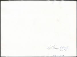 cca 1976 Szél Ferenc békéscsabai fotóművész feliratozott vintage fotóművészeti alkotása (Külvárosi s...