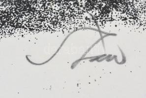 Szász Endre (1926-2003): Férfii fej. Szitanyomat (265/300), papír, jelzett, üveg mögött, 40×35 cm