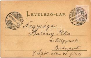 1899 Pozsony, Pressburg, Bratislava; Posonium anno 1649. Verlag R. Drodtleff / castle