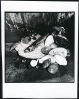 1996 Major Ákos vintage fotóművészeti alkotása (Halas, kagylós csendélet), 18,8x15 cm