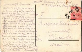 1918 Ponyászka, Poneasca (Bozovics, Bozovici);  János és Júlia lak. Scheitzner Ig. tulajdona / villa...