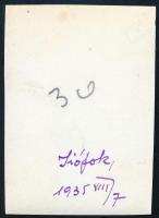 1935. augusztus 7. Siófoknál leszálló hidroplán, feliratozott vintage fotó, 5,8x4,1 cm