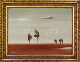 Nánay Szilamér (1952-): Táj madarak nélkül. Olaj, farost, jelzett, hátoldalán Zichy Galéria címkéjév...