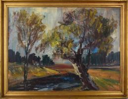 Gábri/Gábry Albert (1935-2004): Patakpart. Olaj, farost, jelzés nélkül, fa keretben, 60x80 cm