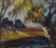 Gábri/Gábry Albert (1935-2004): Patakpart. Olaj, farost, jelzés nélkül, fa keretben, 60x80 cm