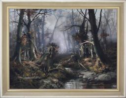 Fürst József (1947-): Erdei patak. Olaj, vászon, jelzett, hátoldalán Intakt-Art Átrium Galéria címké...