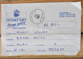 Fürst József (1947-): Erdei patak. Olaj, vászon, jelzett, hátoldalán Intakt-Art Átrium Galéria címké...