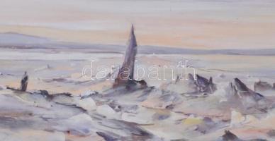 Mizser Pál (1941-): Hullámzó föld. Olaj, farost, jelzett, hátoldalán Zichy Galéria címkéjével, fa ke...