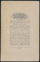 cca 1900 Kolozsvár, a Központi Fényirdában készült vintage fotó, hátoldalán szokatlanul hosszú reklá...