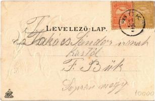 Szombathely, Bagoly-vár. Steiner Testvérek kiadása, szecessziós dombornyomott montázslap makkal. Art...