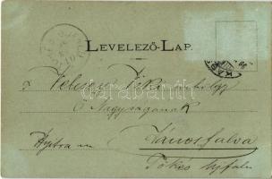 1899 Kassa, Kosice; Fő utca, piac, székesegyház, Adriányi üzlete / main street, market, cathedral, s...