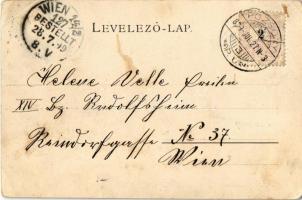 1899 Pozsony, Pressburg, Bratislava; vár, gőzhajó / castle, steamship (EK)