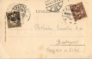 1902 Pozsony, Pressburg, Bratislava; Mária Terézia szobor. "Bediene dich allein" / statue ...