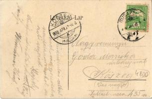 1908 Budapest II. Hűvösvölgy Gyöngye vendéglő, Marth Mihály vendéglőjének a táblája. Art Nouveau