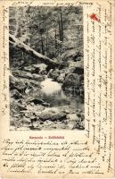 1906 Modor-Harmónia, Modor, Modra; Erdő részlet / forest