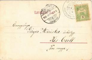 1906 Modor-Harmónia, Modor, Modra; Erdő részlet / forest