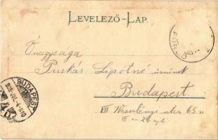 1905 Stószfürdő, Stoósz-fürdő, Kúpele Stós;  villa csoport. Wlaszlovits Gusztáv No. 1534. / villas (...