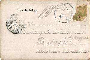 1903 Csejte, Csejthe, Cachtice; Báthory vár / Hrad Báthorovcov / castle (kopott sarkak / worn corner...