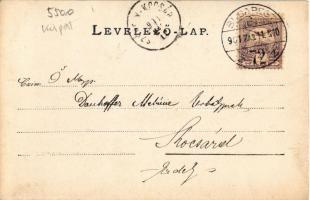 1901 Budapest XIV. Történelmi főcsoport kapuja, Vajdahunyad vára bejárati kapu. photo