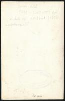 cca 1950 Harrer Antal (1912-1987) Kossuth-díjas (III. fokozat, 1956) vasbetonszerelő fotója, kitünte...