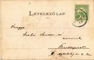 1910 Dobsina, Dobschau; Sztracenai sziklakapu / Felsenthor / rock gate in Stratená (fl)