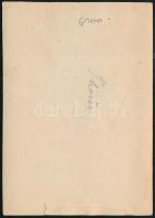 cca 1914-1918 Százados fotója az I. világháborúból, sapka jelvénnyel, kitüntetésekkel, a fotó alján ...