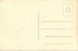 Csopak, Dr. Csécsi Nagy Miklós kastélya. photo