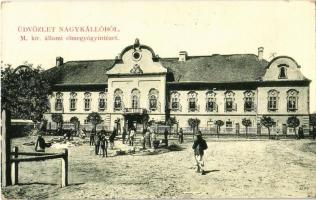 1911 Nagykálló, M. kir. állami elmegyógyintézet, tébolyda, piac. W.L. Bp. 2203.
