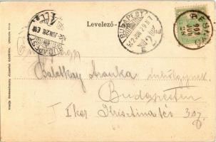 1902 Gödöllő, Királyi kastély eleje. Magyar zászlós szecessziós keret, Art Nouveau litho. Nemesánszk...