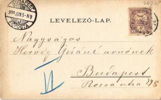 1900 Balatonfüred, Tihany, Baross gőzös. Weiss L. és F. könyvnyomdája, Art Nouveau