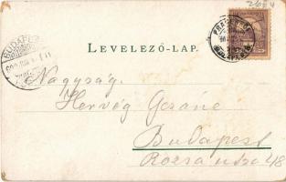 1900 Siófok, Hullám és Sió szálloda, étterem, vitorlás. Kaufman F. kiadása Art Nouveau, floral, lith...