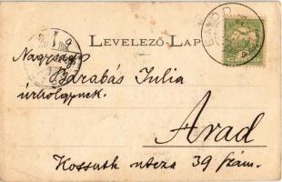 1903 Tiszabecs, Üdvözlet a harcmezőről. Turul szobor, a Rákóczi-szabadságharc első győztes csatájána...