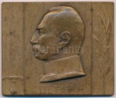Murányi Gyula (1881-1920) DN Petar I I. Péter szerb, majd szerb-horvát-szlovén királyt ábrázoló, egyoldalas Br emlékplakett (69x56mm) T:2