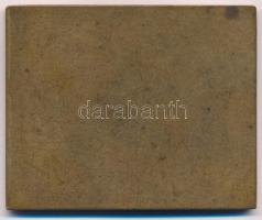 Murányi Gyula (1881-1920) DN "Petar I" I. Péter szerb, majd szerb-horvát-szlovén királyt á...