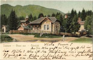 1900 Brassó, Kronstadt, Brasov; Noa, sörcsarnok és étterem / Bierhalle Restaurant zur Tannenau (?) / beer hall and restaurant (Rb)